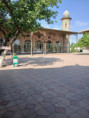 /album/aprilis-26/20260419-095149-jpg/