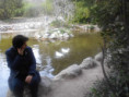 /album/maios26/dscn4576-jpg/
