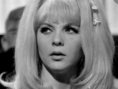 /album/ioylios26/maroyda-gif/