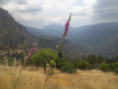/album/ioylios26/win-20170605-122353-jpg1/